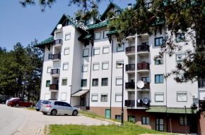 Гостиница Apartment Evropa  Златибор